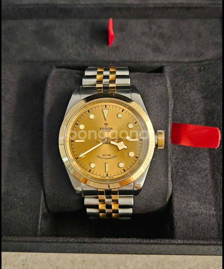 튜더블랙베이콤비 튜더 튜더시계 튜더펠라고스 튜더블랙베--0