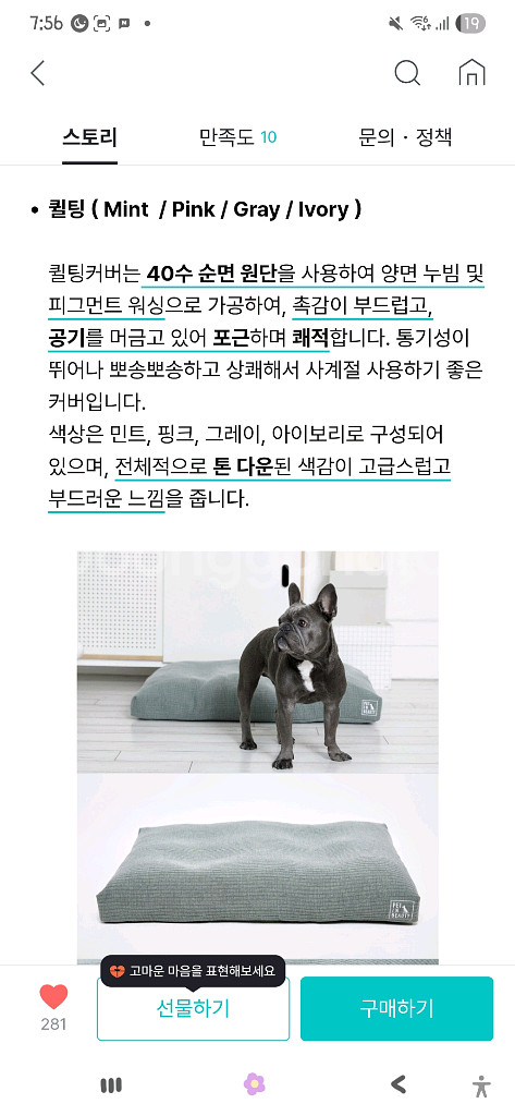 펫인뷰티 반려동물 전용 쫀쫀방석 팝니다--7