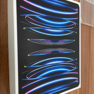 보증남은 아이패드프로12.9 6세대 셀룰러 512