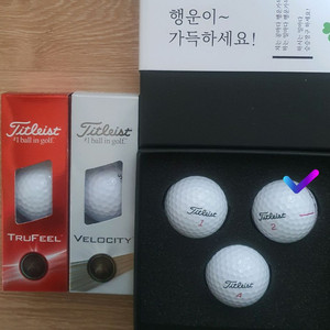 타이틀리스트 골프공 9구
