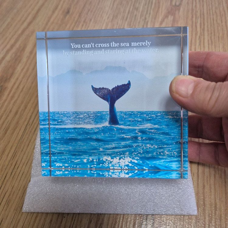 책 문진 아크릴 문진 3종--3