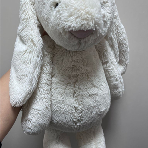 젤리캣 젤리켓xl