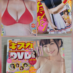 일본 만화지-소년챔프/영 점프