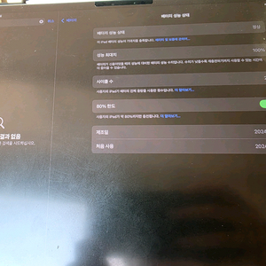 아이패드 프로 11인치 M4 256GB