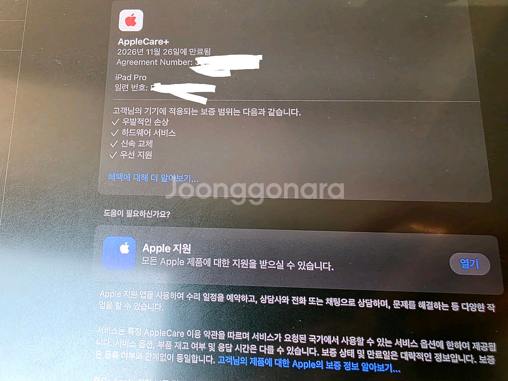 아이패드 프로 11인치 M4 256GB--1