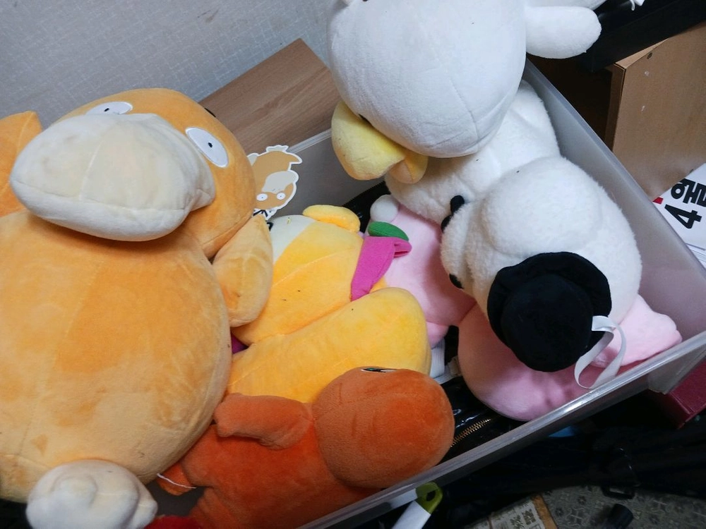 소형믹서2개,블랙박스, 인형,침낭,하프빽, 블루트스 조명등 이미지