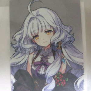 마비노기 로완 증명사진