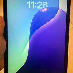 아이패드 에어 4세대 64GB 셀룰러(그린!)