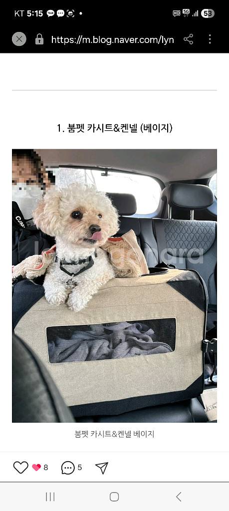 붐펫 강아지 소프트 켄넬 이동 가방 카시트--6