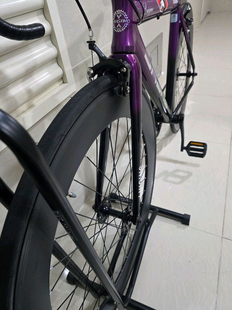 2025 루이지노 사브레(사브르) 픽시 (490)부산 중구 이미지