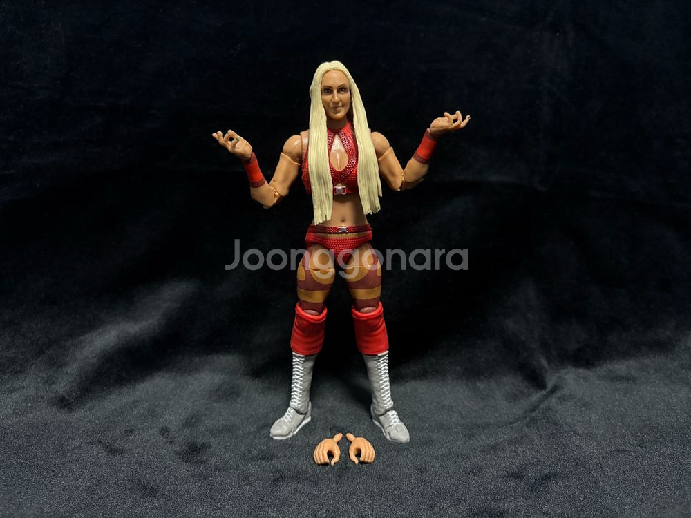 마텔 WWE 피규어 팝니다 #2--3