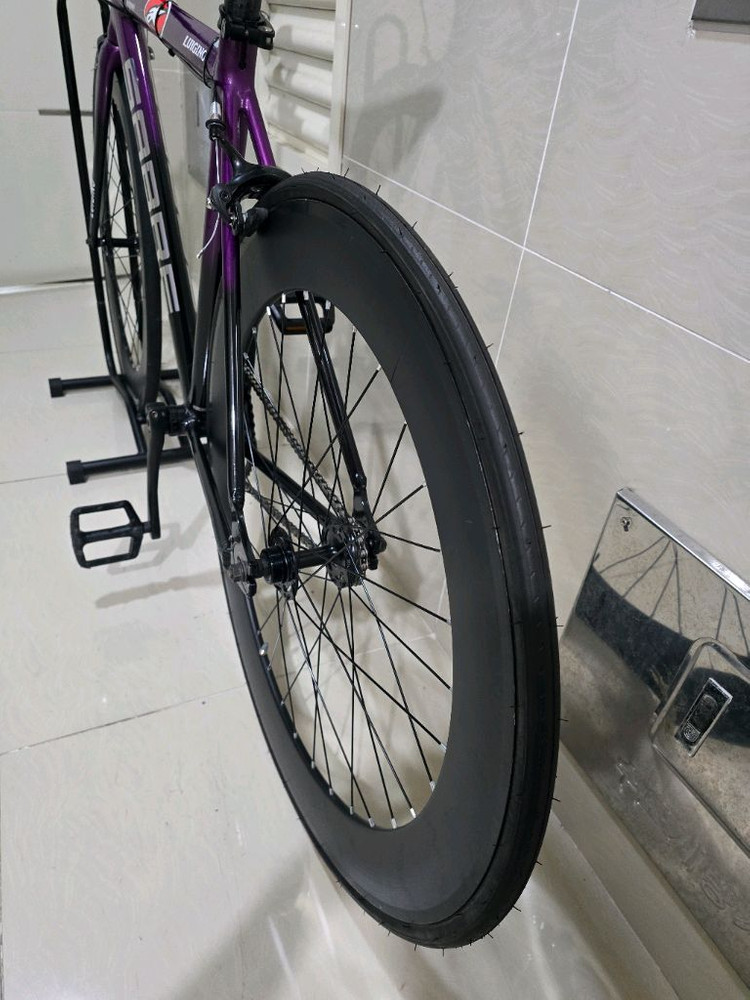 2025 루이지노 사브레(사브르) 픽시 (490)부산 중구 이미지