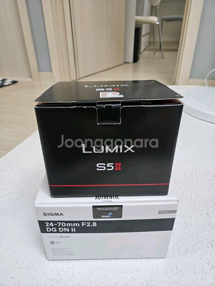 파나소닉 루믹스 S5M2 + 시계륵2 시그마 아트24-70 2--2
