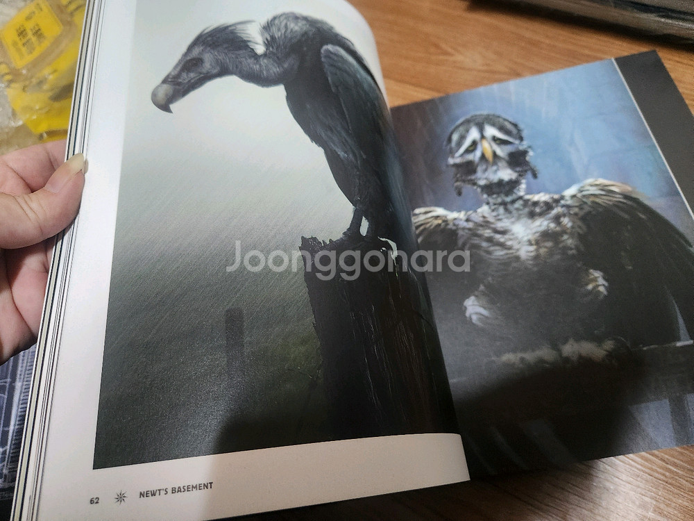 해리포터 책 마법 금고 시리즈 + 그린델왈드 아트북 팝니다.--3