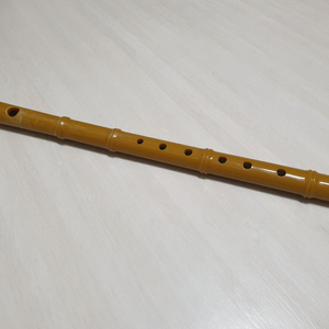 단소 리코더 소금 관악기 싸게드려요