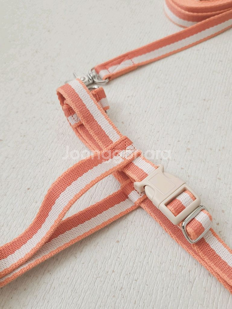 새상품) 티어라움 선셋하네스 강아지 하네스 + 리드줄 세트 산책용품--4