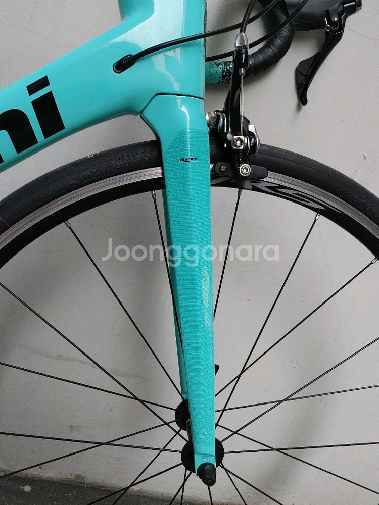 상태A급 23년 비앙키 스프린트 시마노 울테그라 카본 로드자전거 53사이즈 팔아요.--1
