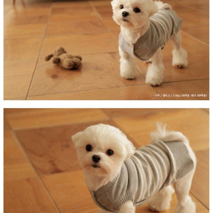 바앤땅 그레이 코튼 스트라이프 니트 강아지옷 2XL