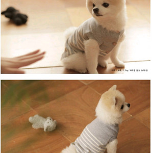 바앤땅 그레이 코튼 스트라이프 니트 2XL / 강아지옷 반려견 애견의류