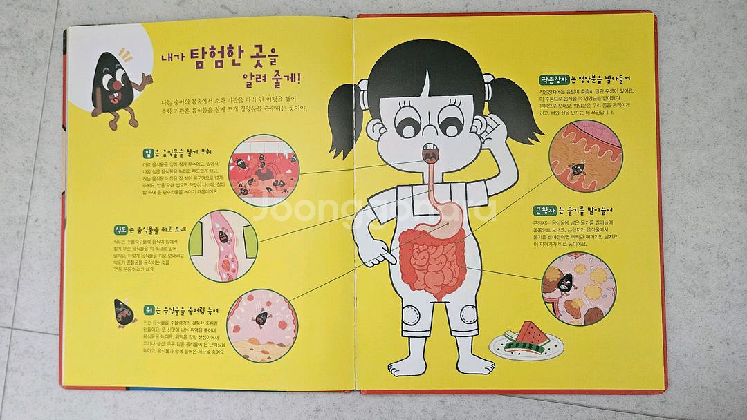 내친구 과학공룡 전집+부록(스티커전체/실험상자일부)--3