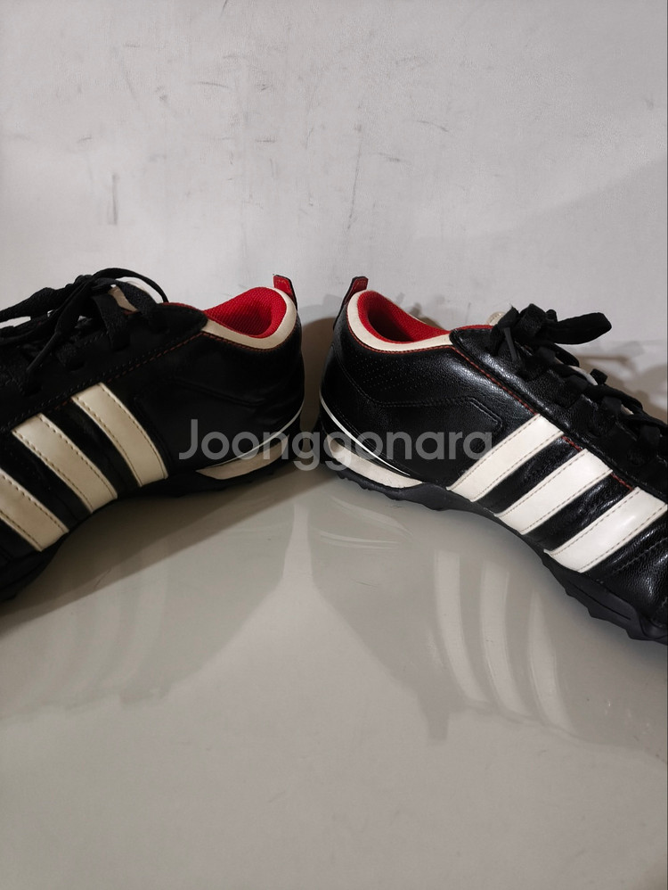 285mm 아디다스 퀘스트라 tf 풋살화--6