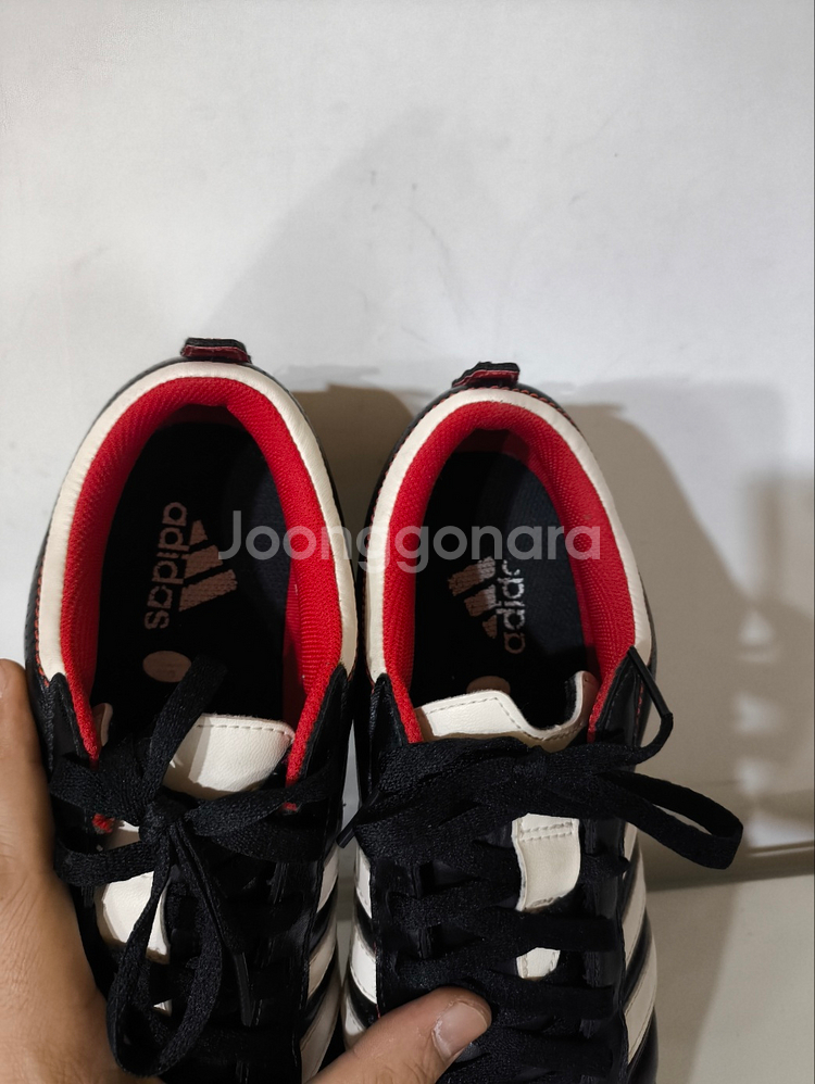 285mm 아디다스 퀘스트라 tf 풋살화--5