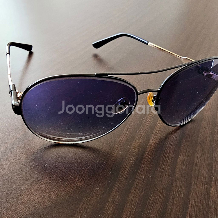 231- 셀린느 보잉 선글라스--2