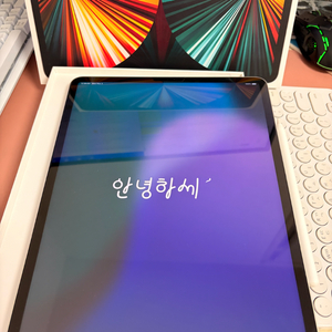 아이패드 프로 12.9 5세대 m1 256기가 실버+애펜2
