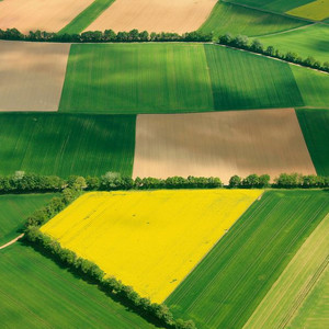 라이젠 5600 삽니다 이미지