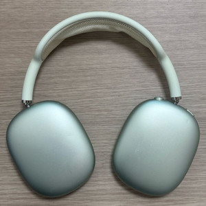 에어팟맥스 스그 그린 고장 단품