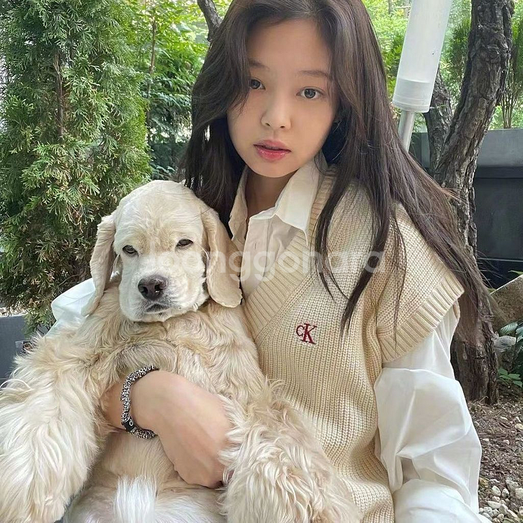 제니 ck 니트 베스트--0