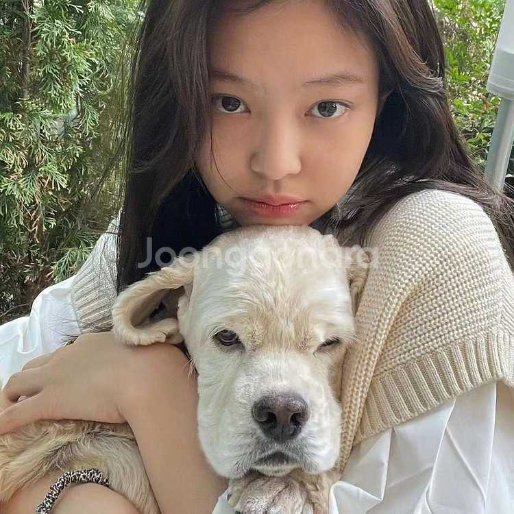 제니 ck 니트 베스트--1