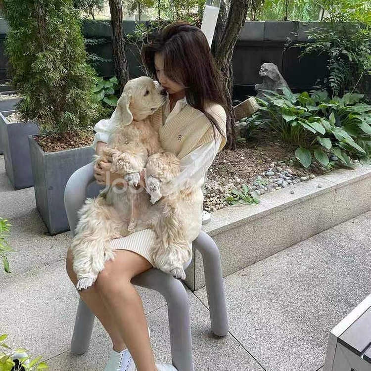 제니 ck 니트 베스트--7