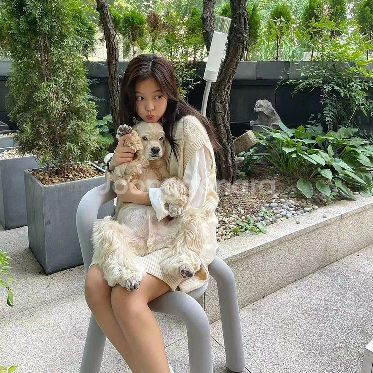 제니 ck 니트 베스트--4