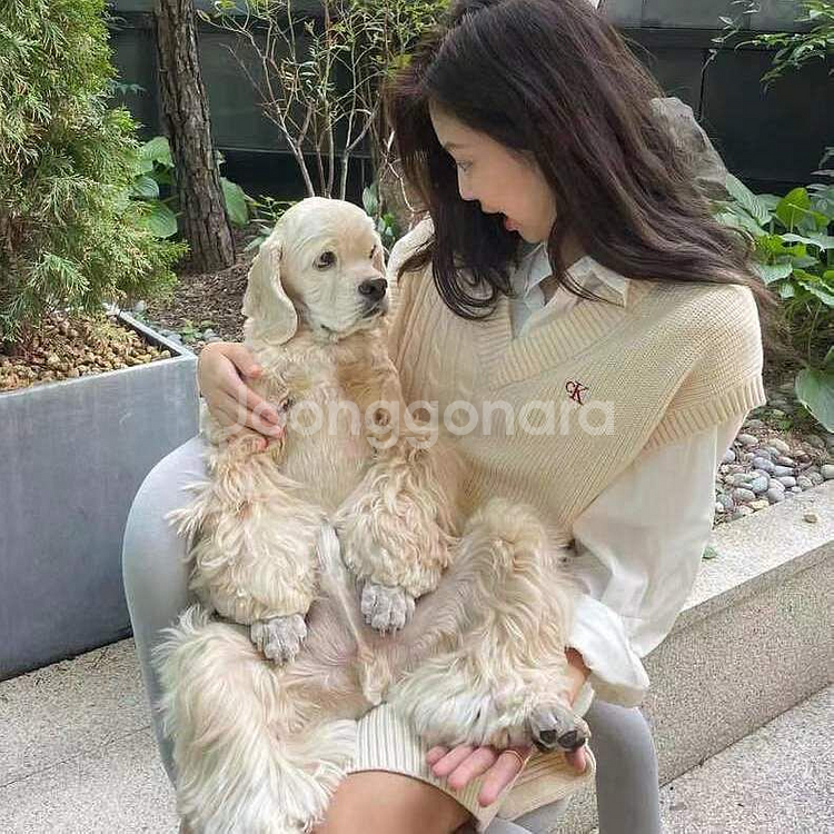 제니 ck 니트 베스트--5