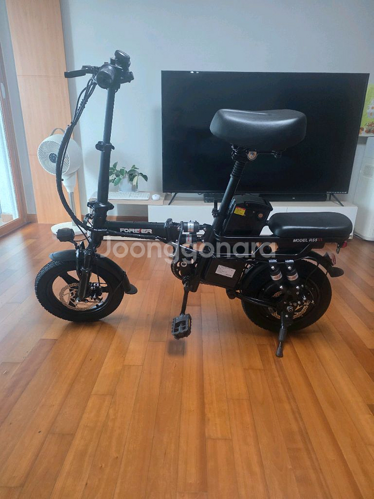 30암페어 14인치 접이식 전기자전거--0