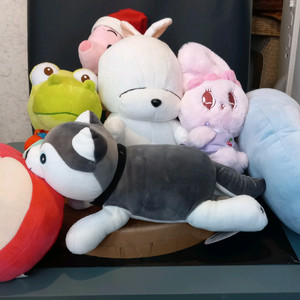 캐릭터 인형 세트