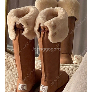 제이키치 롱어그 240-245