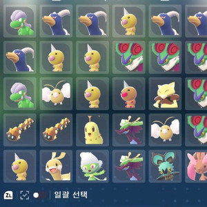 포켓몬스터 ZA 이로치 두박스 일괄판매합니다