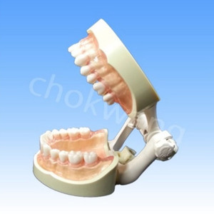 치위생 닛씬 덴티폼 + 수기구 ( 카세트 ,포 포함)