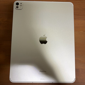 아이패드 프로 m4 13인치 셀룰러 512gb 모델