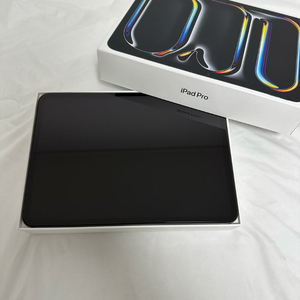 아이패드 프로 11인치 M4 256GB