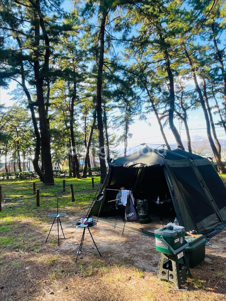 빈슨메시프 이지투 원터치 텐트--0