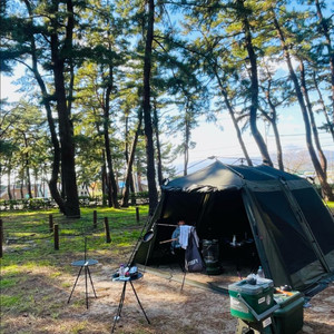 빈슨메시프 이지투 원터치 텐트