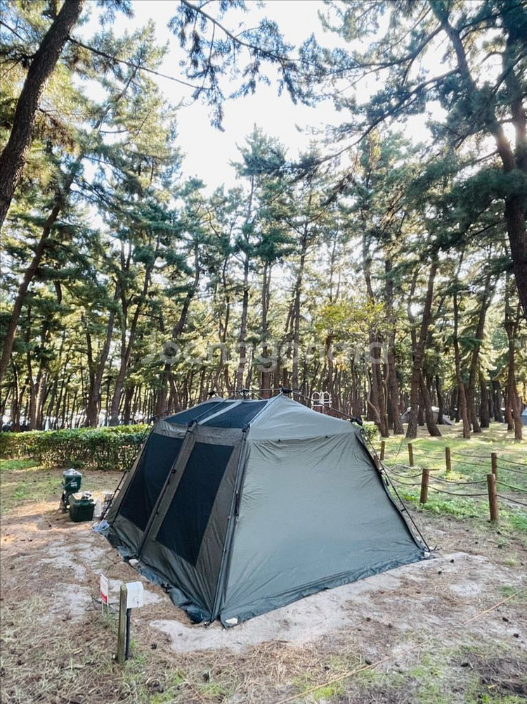 빈슨메시프 이지투 원터치 텐트--1