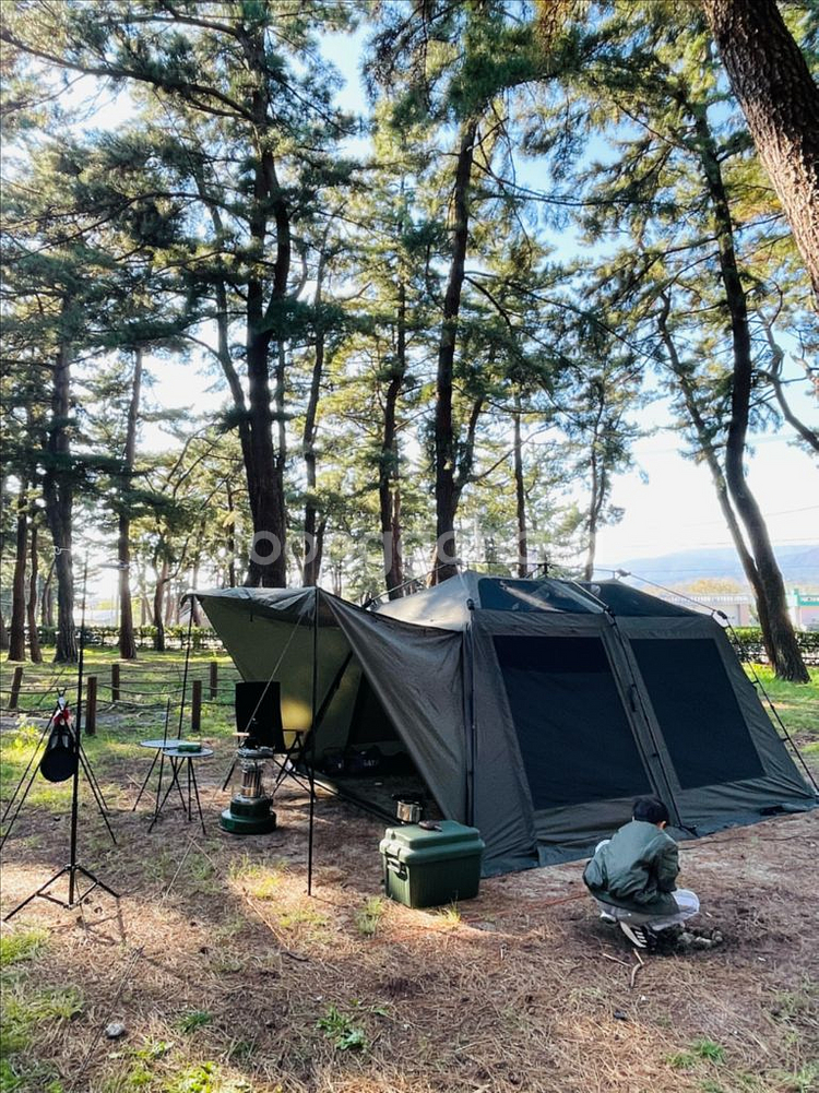 빈슨메시프 이지투 원터치 텐트--2