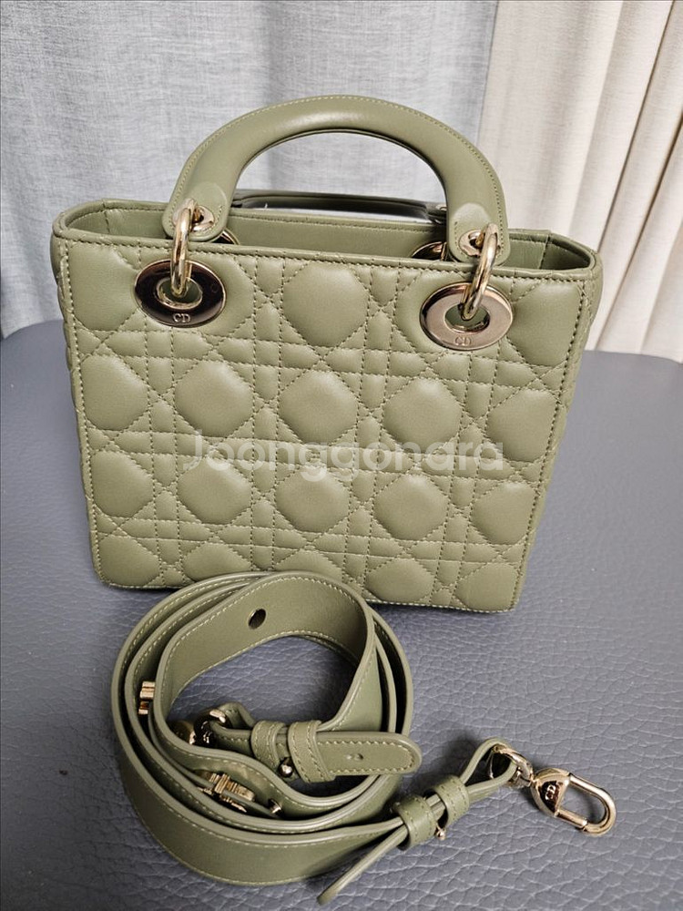 디올 레이디백 스몰--1