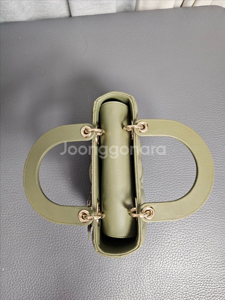 디올 레이디백 스몰--3