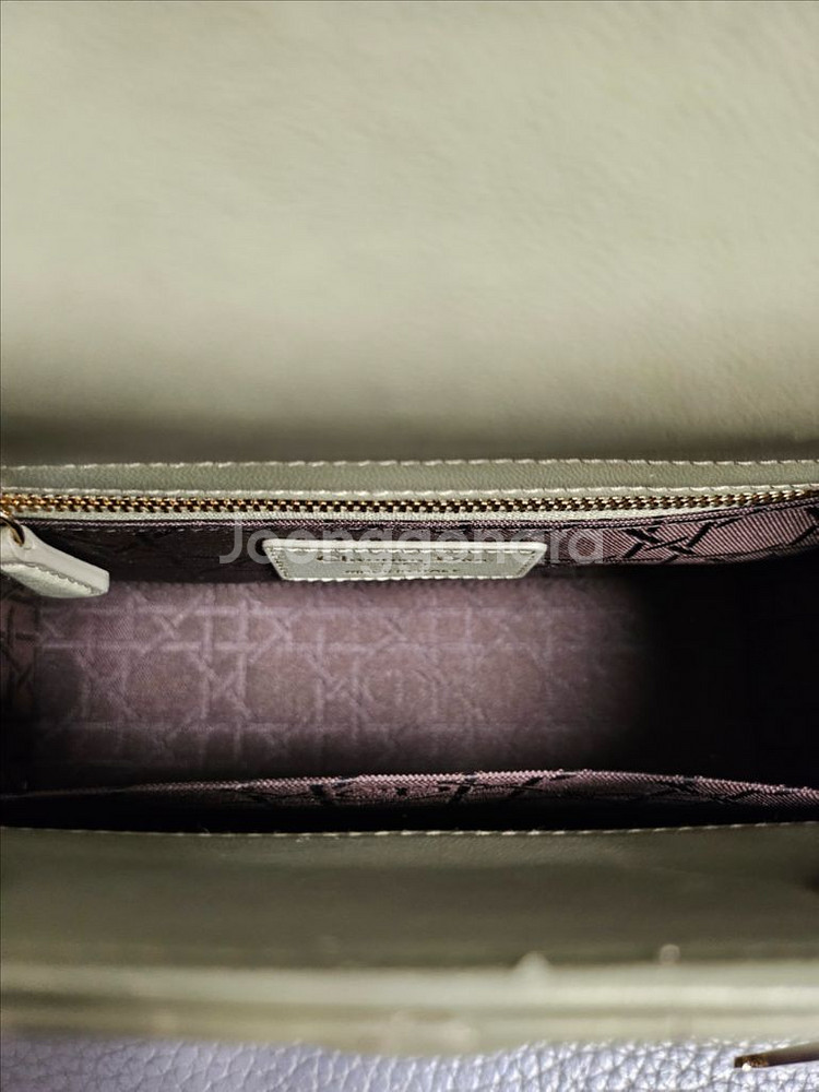 디올 레이디백 스몰--4