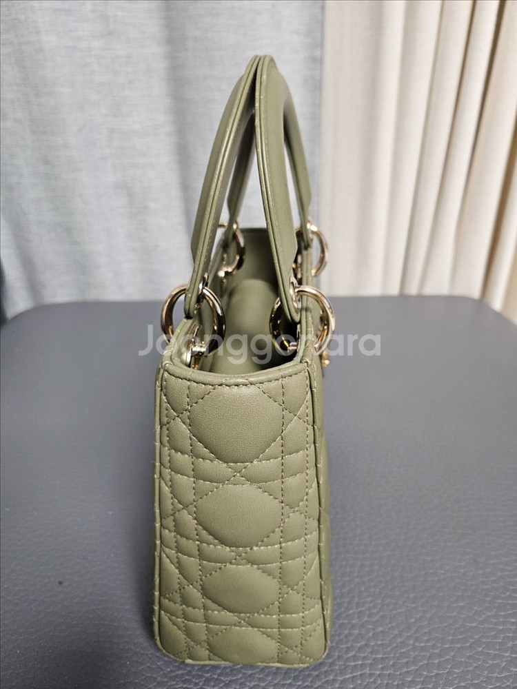 디올 레이디백 스몰--2